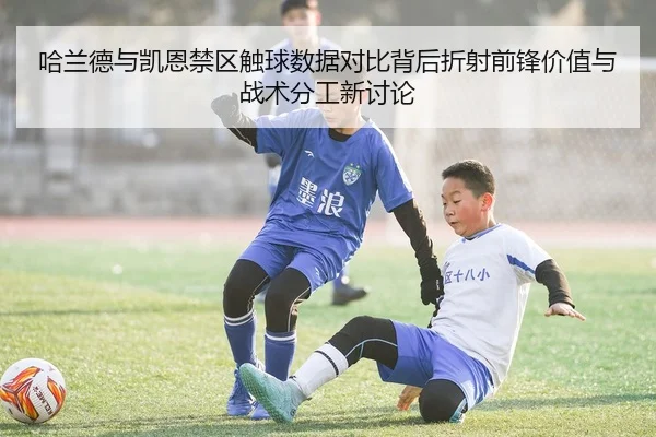 哈兰德与凯恩禁区触球数据对比背后折射前锋价值与战术分工新讨论